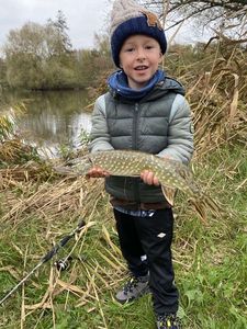Northern Pike