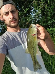 Smallmouth Bass