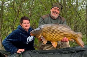 Common Carp