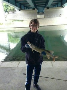 Northern Pike