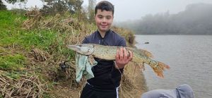 Northern Pike