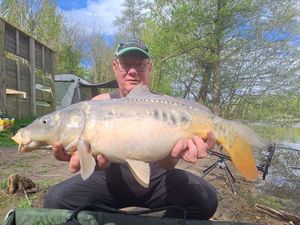 Mirror Carp