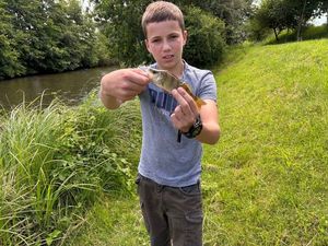 European Perch