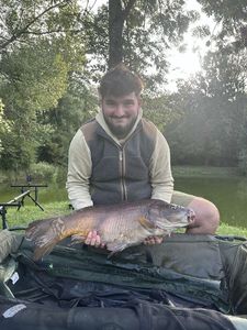 Mirror Carp