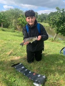 Largemouth Bass