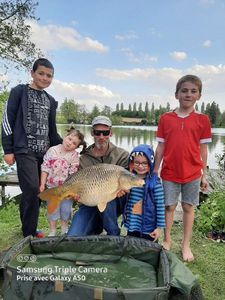 Common Carp