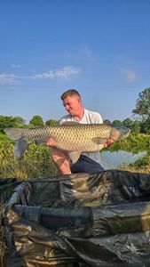 Grass Carp
