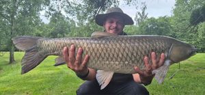 Grass Carp
