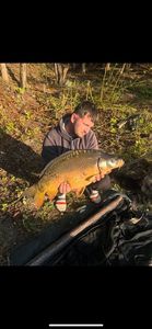 Mirror Carp