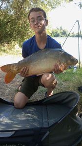 Common Carp