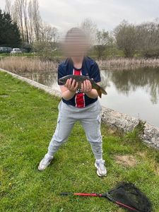Common Carp