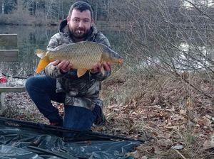 Common Carp