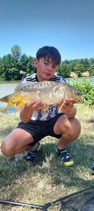 Mirror Carp