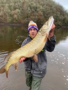 Northern Pike