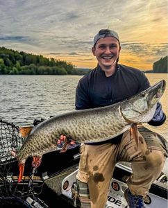 Muskellunge (Musky)