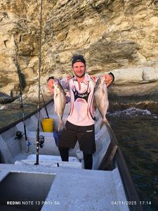 Greater Amberjack