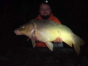 Mirror Carp