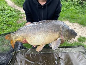 Mirror Carp