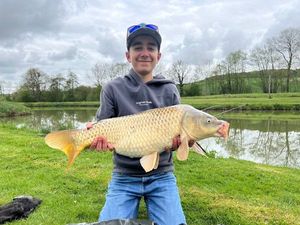 Common Carp