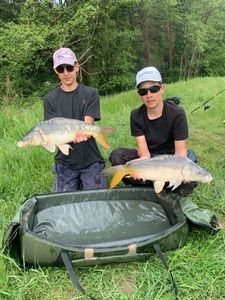 Mirror Carp