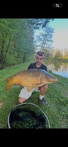 Mirror Carp