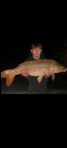 Mirror Carp