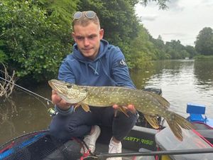 Northern Pike