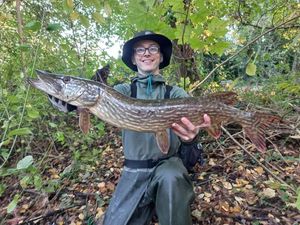 Northern Pike