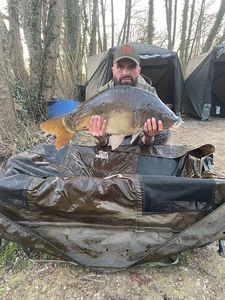 Mirror Carp