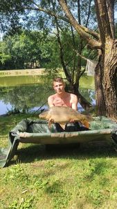 Mirror Carp