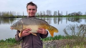Mirror Carp