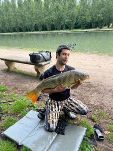 Mirror Carp