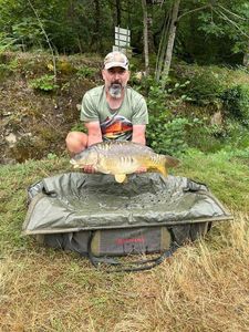Mirror Carp