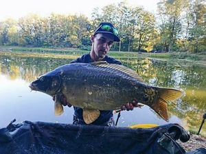 Mirror Carp