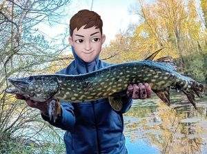 Northern Pike