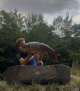 Common Carp