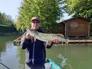 Northern Pike