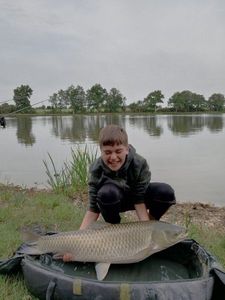 Grass Carp