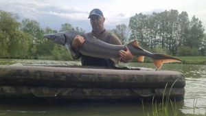 Sturgeon