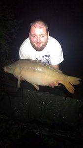 Mirror Carp