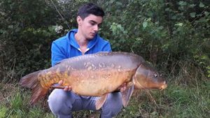 Mirror Carp