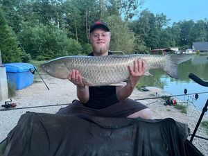 Grass Carp