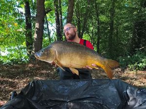 Mirror Carp