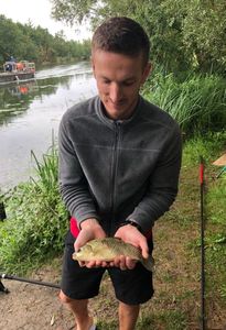 Common Carp
