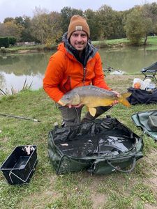 Mirror Carp