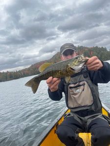 Smallmouth Bass