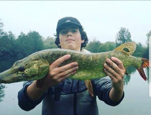 Northern Pike