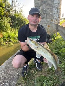 Zander
