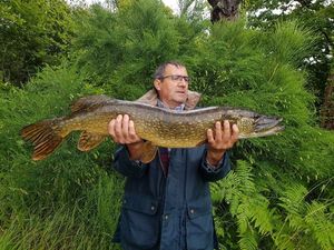 Northern Pike