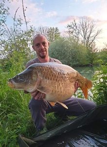 Common Carp